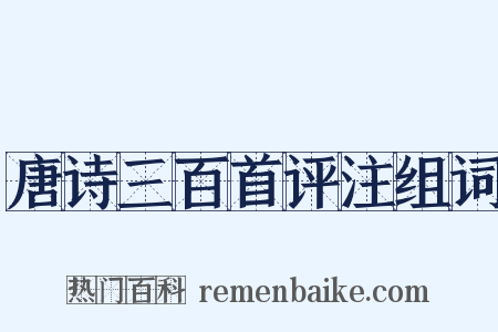 唐诗三百首评注组词是什么意思的图片